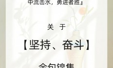 开运体育亚洲官网-运动员坚持不懈，历经千辛万苦勇争第一