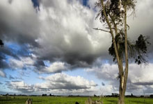 开运体育官网-女子篮球赛激烈角逐：实力悬殊背后的精彩瞬间