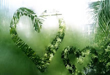 开运体育课程-曼城势如破竹，欧冠四强战正酣