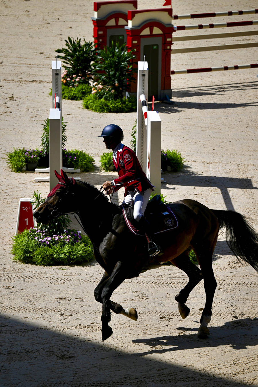 新西兰选手获得马术比赛金牌